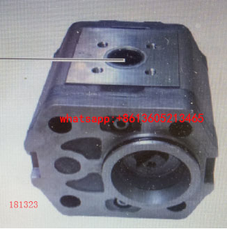 进口摊铺机双联齿轮泵181323